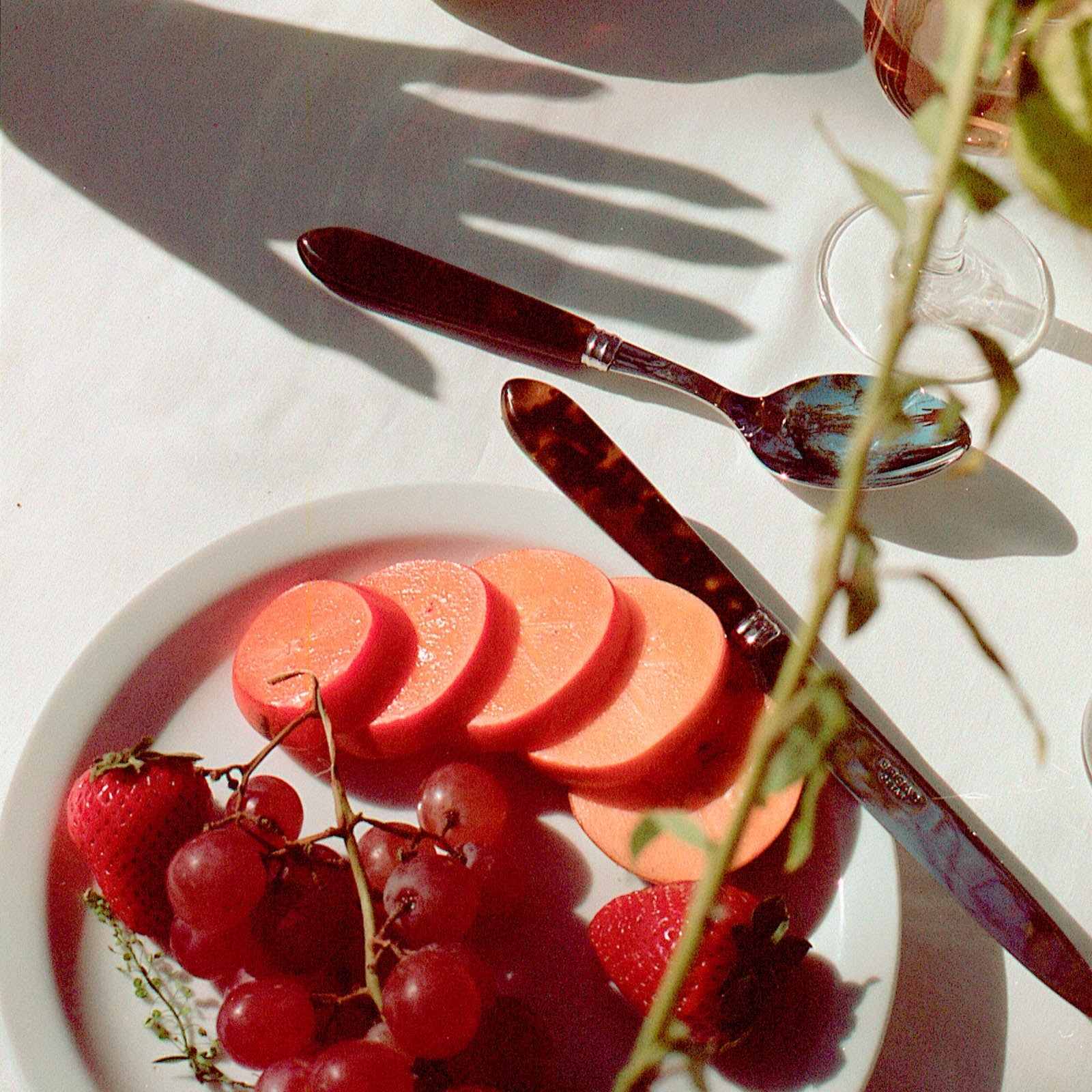 Tortoise, Faux Tortoise - 20 pieces cutlery set