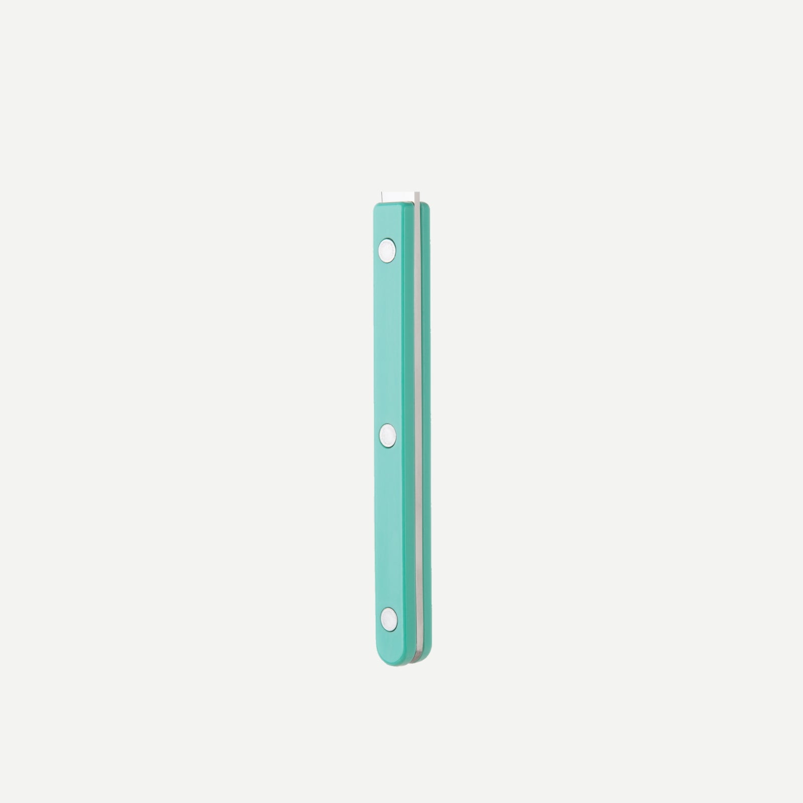 Bistrot Solid, Pastel green - Dinner fork