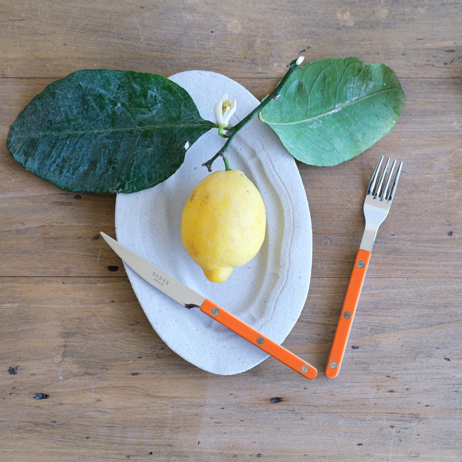 Bistrot Solid, Orange - Salad fork